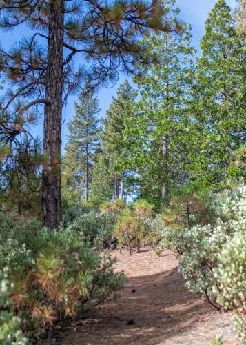 inn at sugar pine ranch