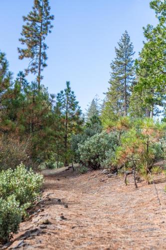 inn at sugar pine ranch