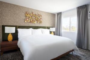 the cole powered by sonder