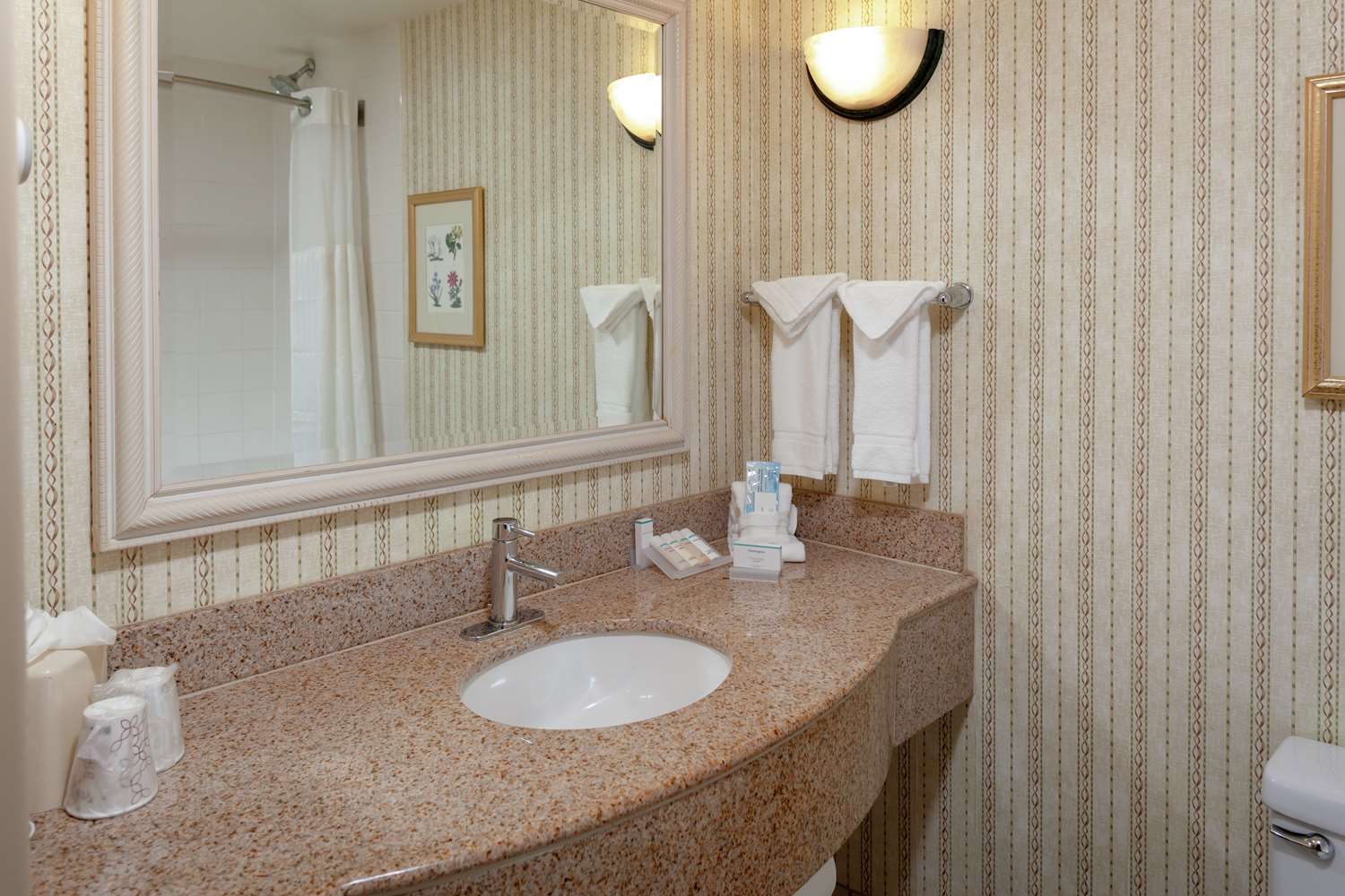 hilton garden inn charlotte north