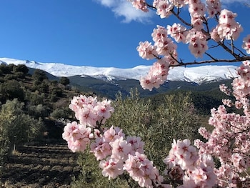 hotel molino de enmedio