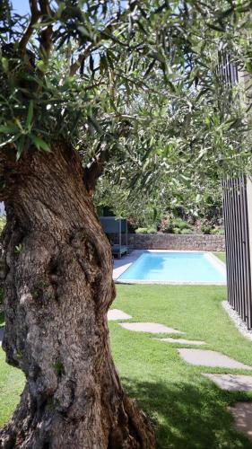 appius design suites bandb adults only