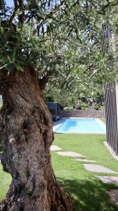 appius design suites bandb adults only