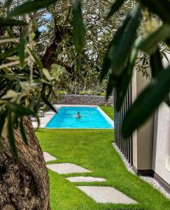 appius design suites bandb adults only