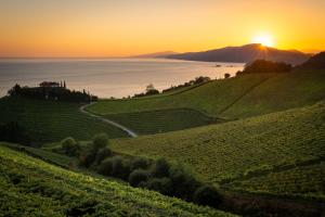 bidaia boutique hotel