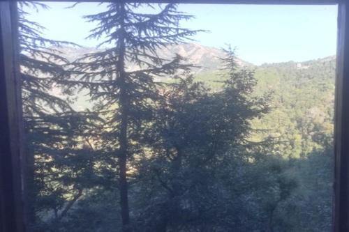 galaxy inn by stayapart