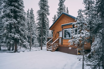 denali wild stay