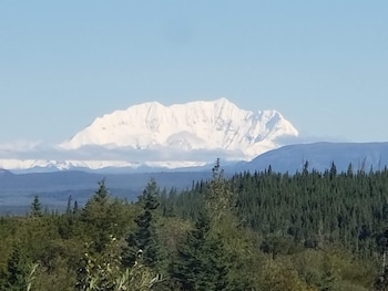 denali wild stay