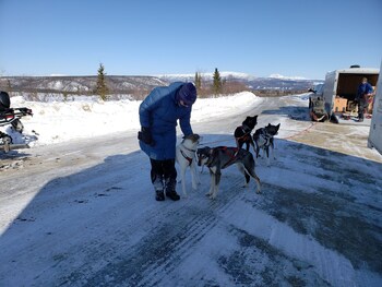 Denali Wild Stay,,2.5 star