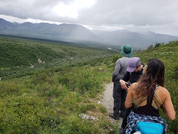 Denali Wild Stay,,2.5 star