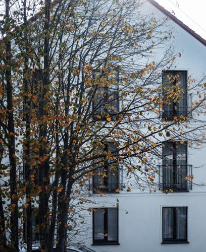 jono kalnelis apartments