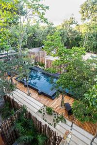 amaka calma tulum