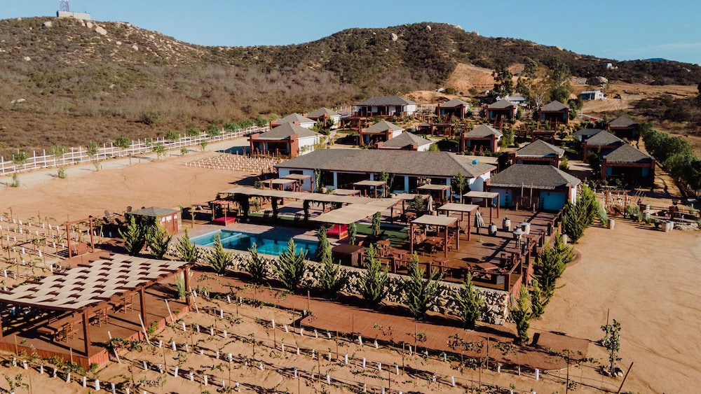 valle de guadalupe