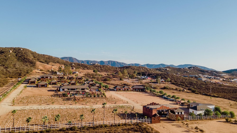 valle de guadalupe
