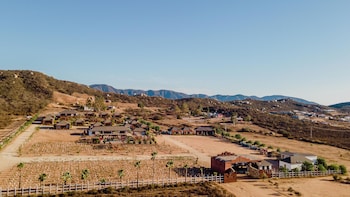 valle de guadalupe