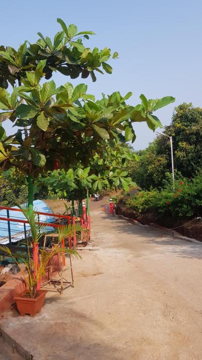 ratnagiri