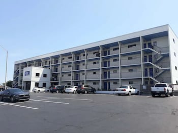 surf suites