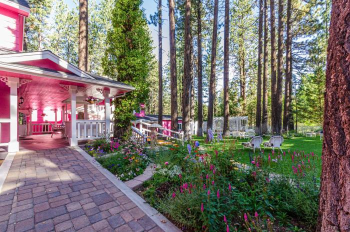 apples bed and breakfast