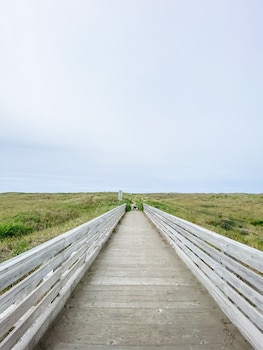 copalis beach