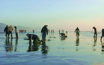 copalis beach