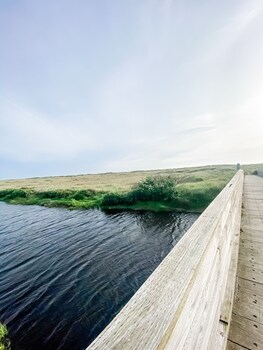 copalis beach
