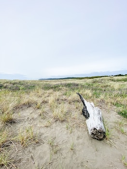 copalis beach