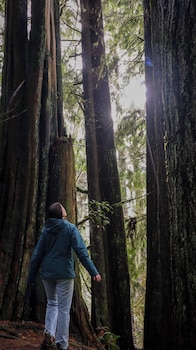 Pacific Dunes Resort,,2.5 star