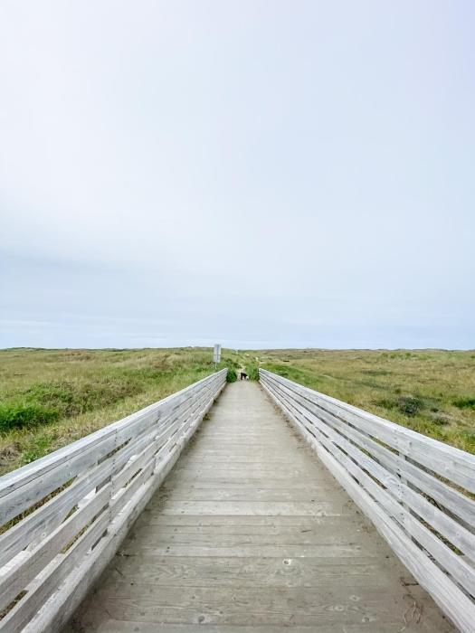 pacific dunes resort