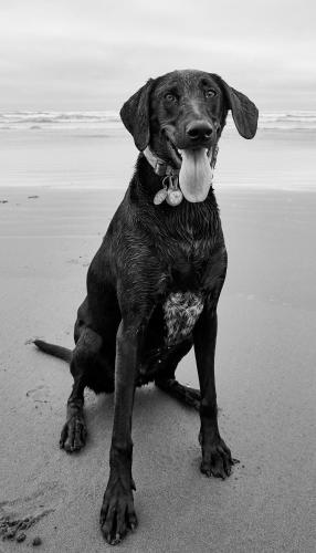 pacific dunes resort