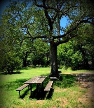 cedarvale cabins at turner falls