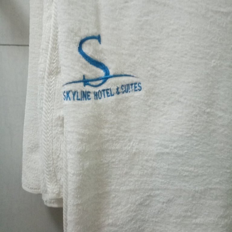 skyline hotel and suites