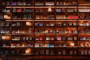 the mumian at beijing daxing international airport