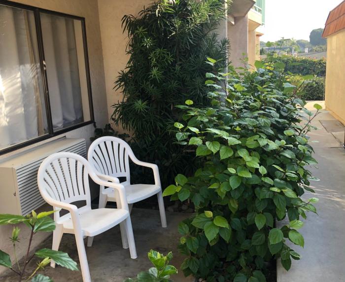 moonlight beach motel