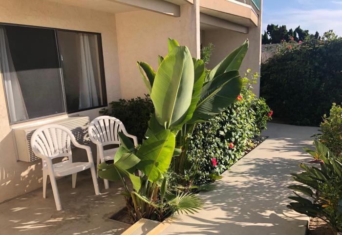 moonlight beach motel