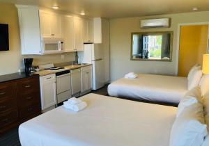 moonlight beach motel