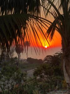 moonlight beach motel
