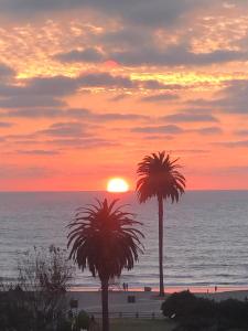 moonlight beach motel