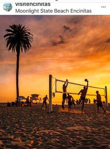 moonlight beach motel