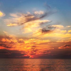 moonlight beach motel