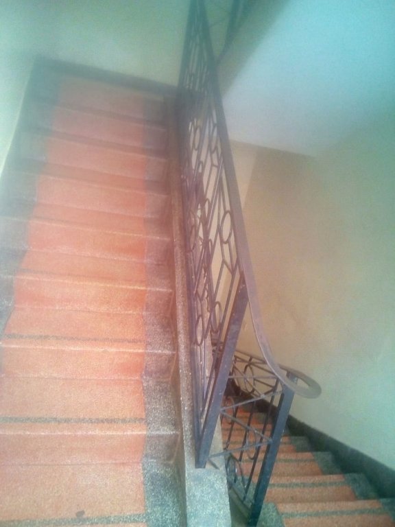 nyeri star rest and lodge