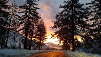 wrightwood