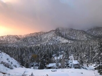 wrightwood