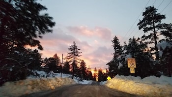 wrightwood