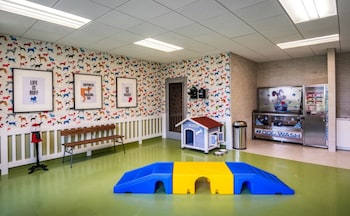 global luxury suites east boston