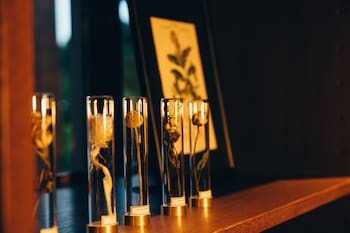 hotel karuizawa cross