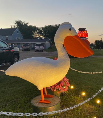 pelican rapids