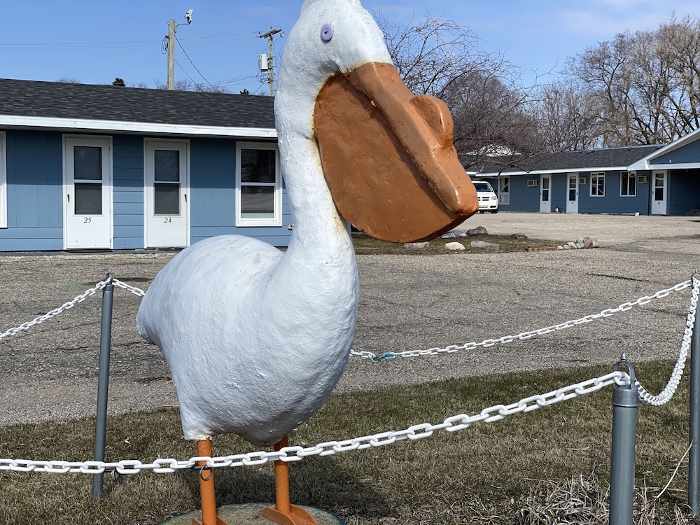 pelican rapids