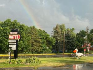 pelican rapids