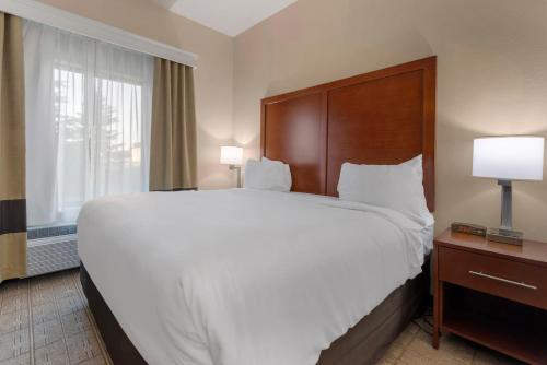 comfort inn and suites