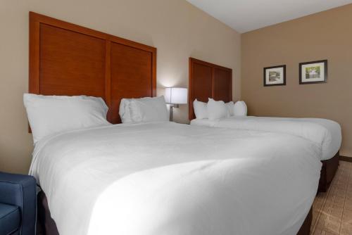 comfort inn and suites